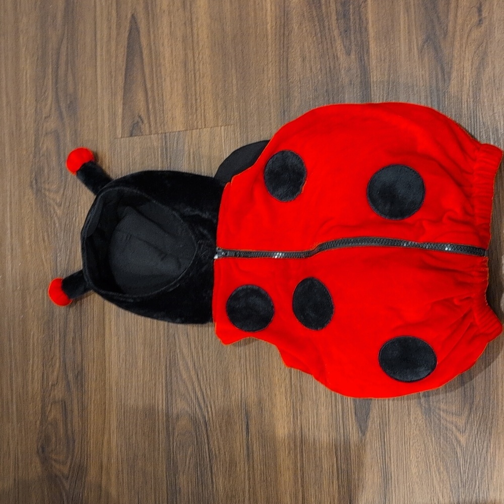 Toddler Ladybug Costume